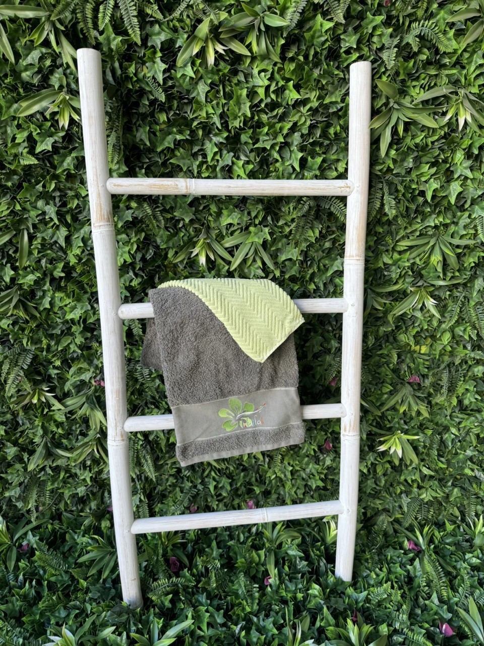 Mobilier – Bambou – Echelle